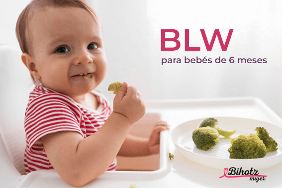 BLW para bebés de 6 meses sem stress: Guia completo para começar com segurança e confiança