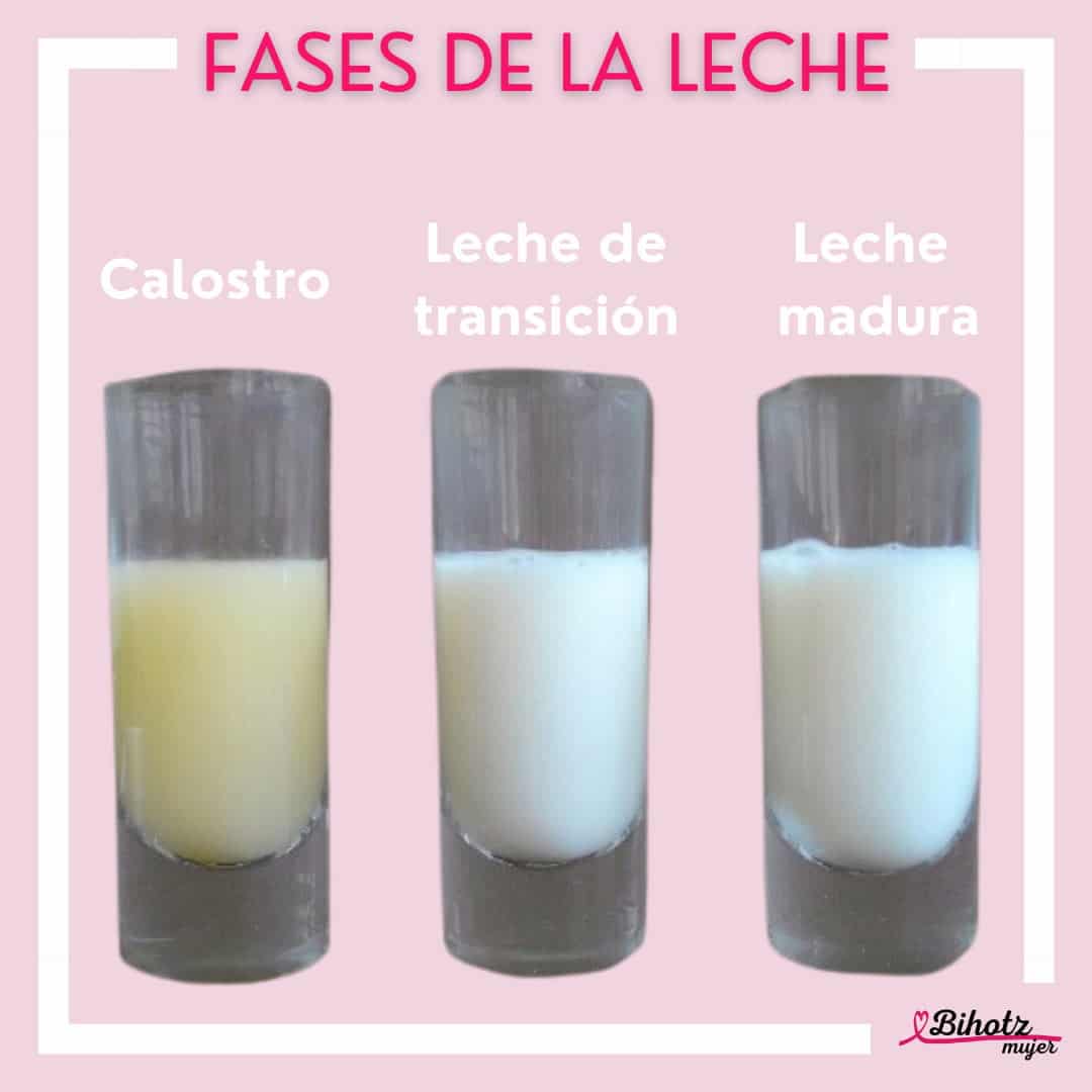 Le fasi del latte materno: sai come cambia?