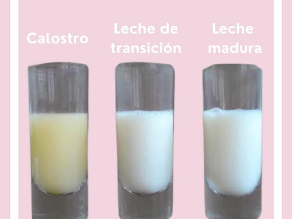 Le fasi del latte materno: sai come cambia?