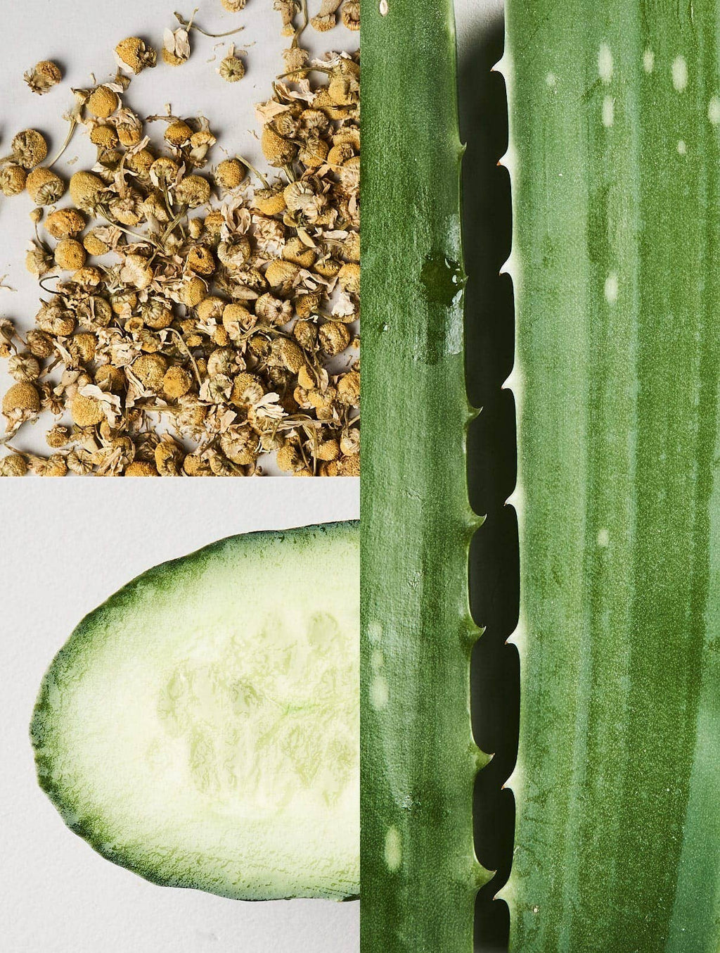 Blissful Moment: 4 maschere nutrienti per il ventre