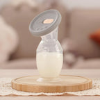 CONJUNTO (Recolhedor LadyBug + Recolhedor de leite com tampa + Duas bolsas de armazenamento + Necessaire)