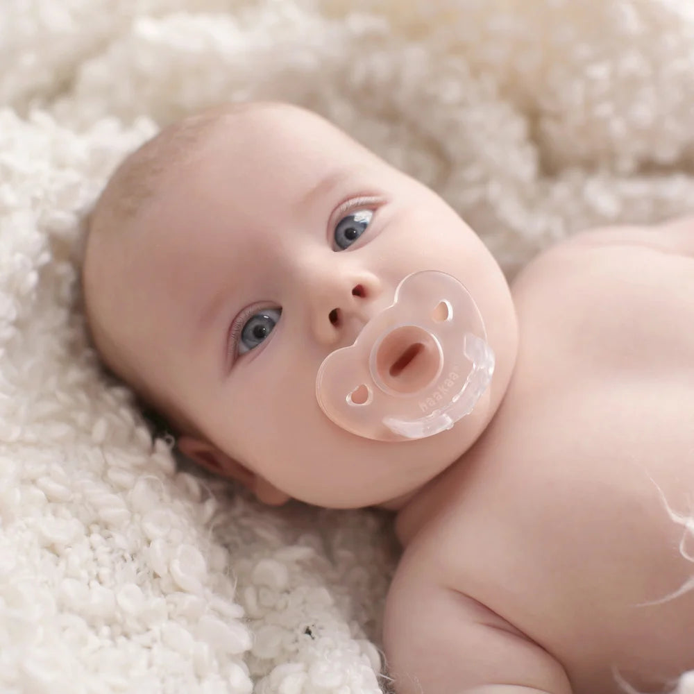 CONJUNTO PREMIUM (Recipiente com tampa e tampa em forma de flor + Dois recipientes LadyBug com bolsa de higiene + Biberão de vidro + Escova de limpeza + Duas tampas + Chupeta de silicone)