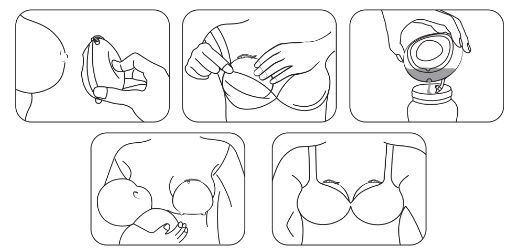 Conjunto de dois coletores de leite HAAKAA Ladybug + bolsa de higiene